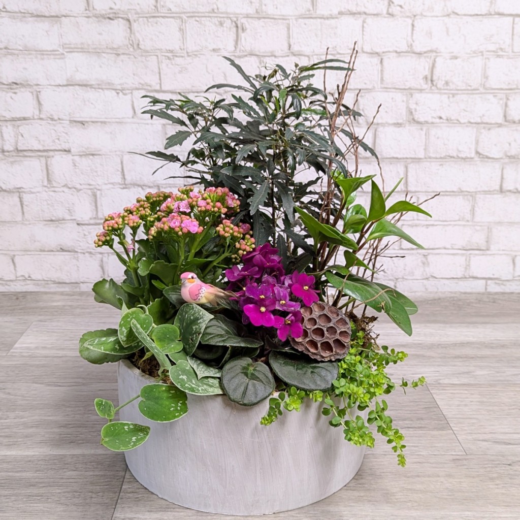 Lasting Impressions Indoor Garden Brown’s The Florist BD Canada