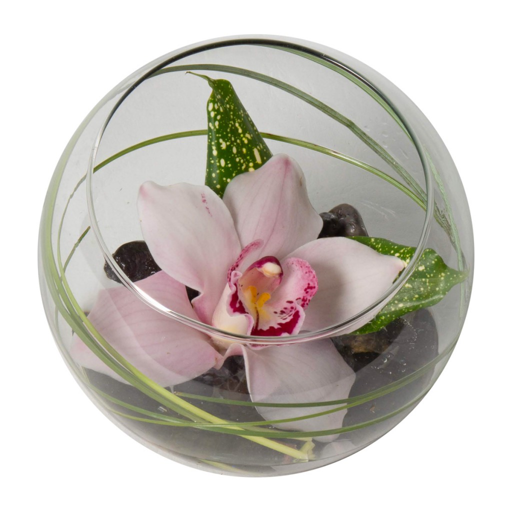 Orchid Bowl Brown's The Florist BC Canada