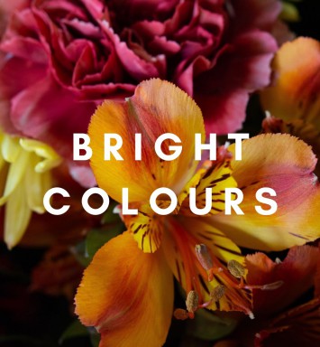 Bright Colours
