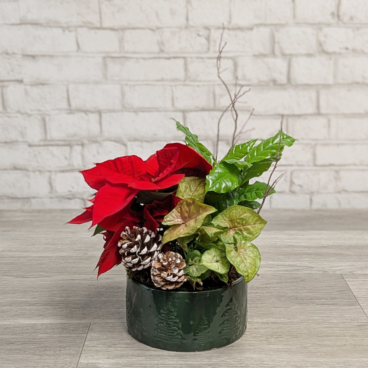 Festive Woodland Indoor Garden