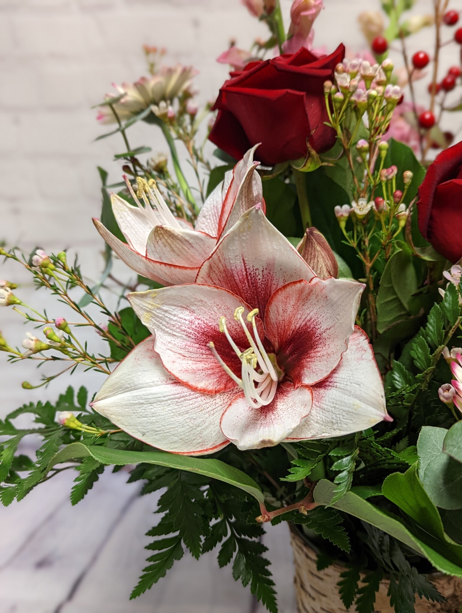 Top Five Best Winter Flowers Brown’s The Florist BD Canada