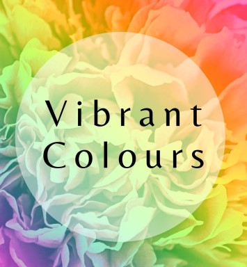 Vibrant Colours