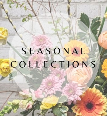 Seasonal Collections