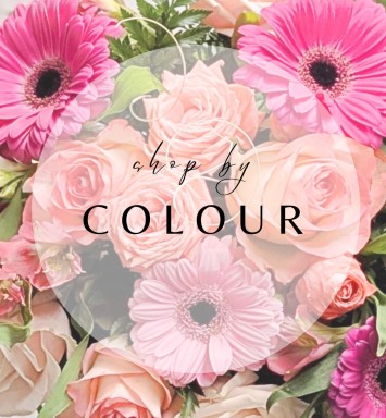 Shop by Colour