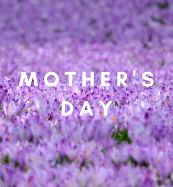 Mother's Day Cards
